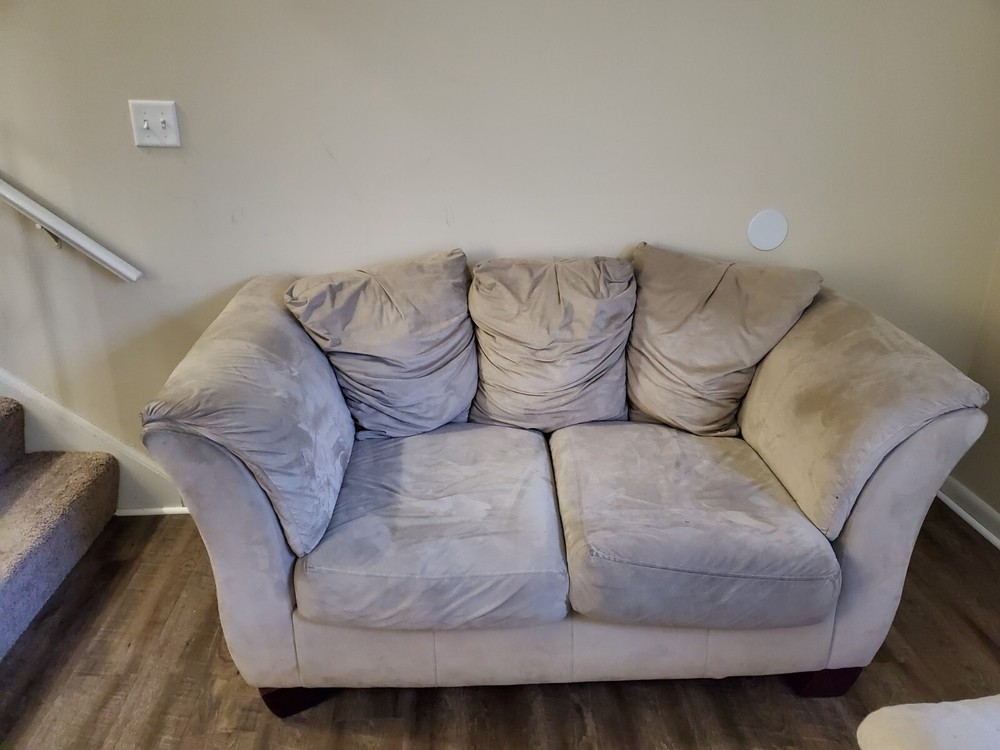 2 Piece Sofa Set (Sleeper Sofa & Loveseat Sofa)