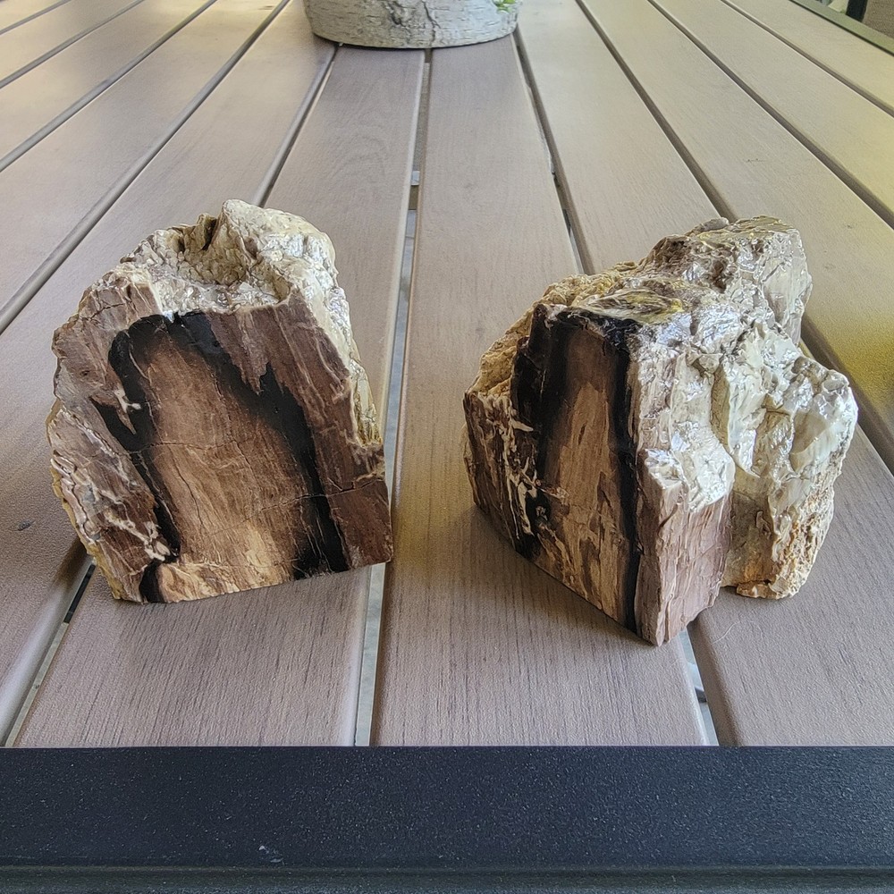 Book Ends Petrified Wood