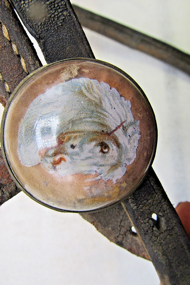 Celluloid harness spreaders & leather pieces
