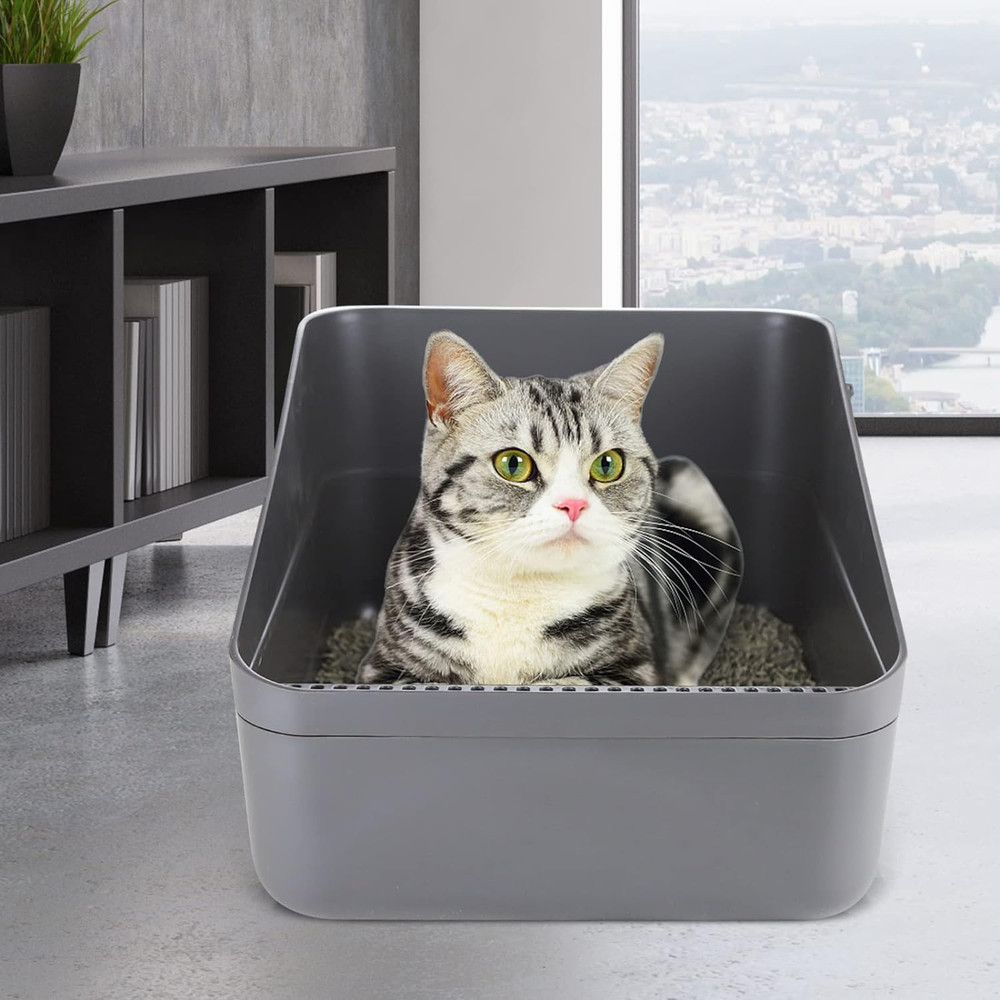 Cats Litter Box Low: Open Sifting Design -Tracking Space Saving - Grey Small Lit