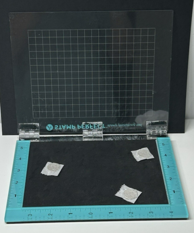 Hampton Art STAMP PERFECT Stamp Positioning Tool, 3 Magnets, Foam Insert