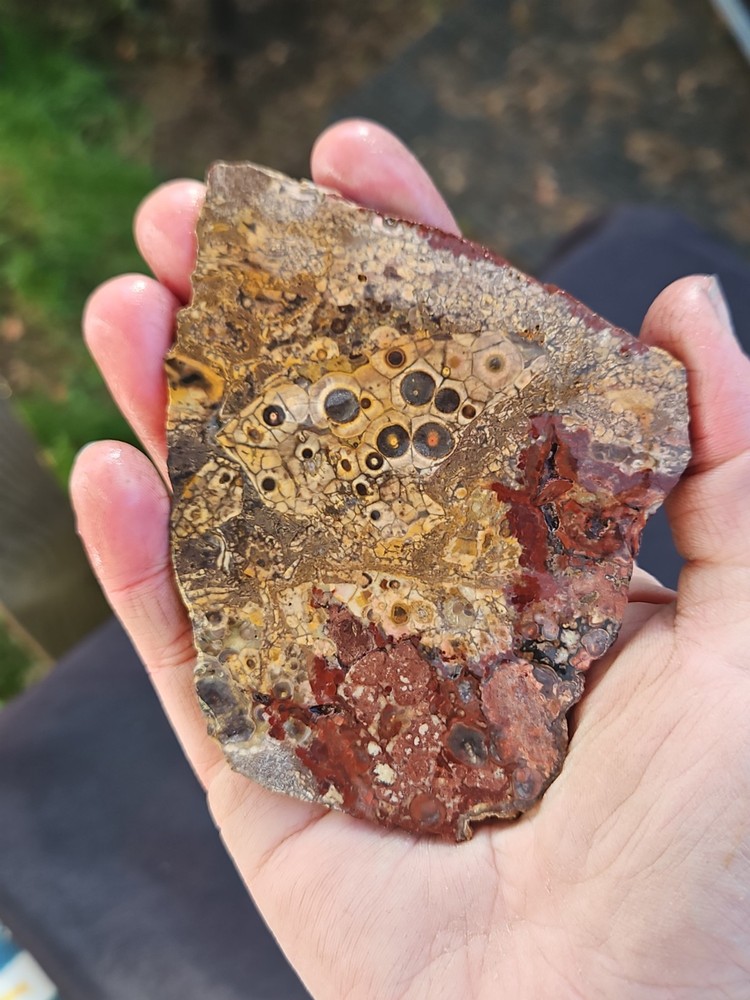 Gembone Slab Specimen (83.4 Grams)