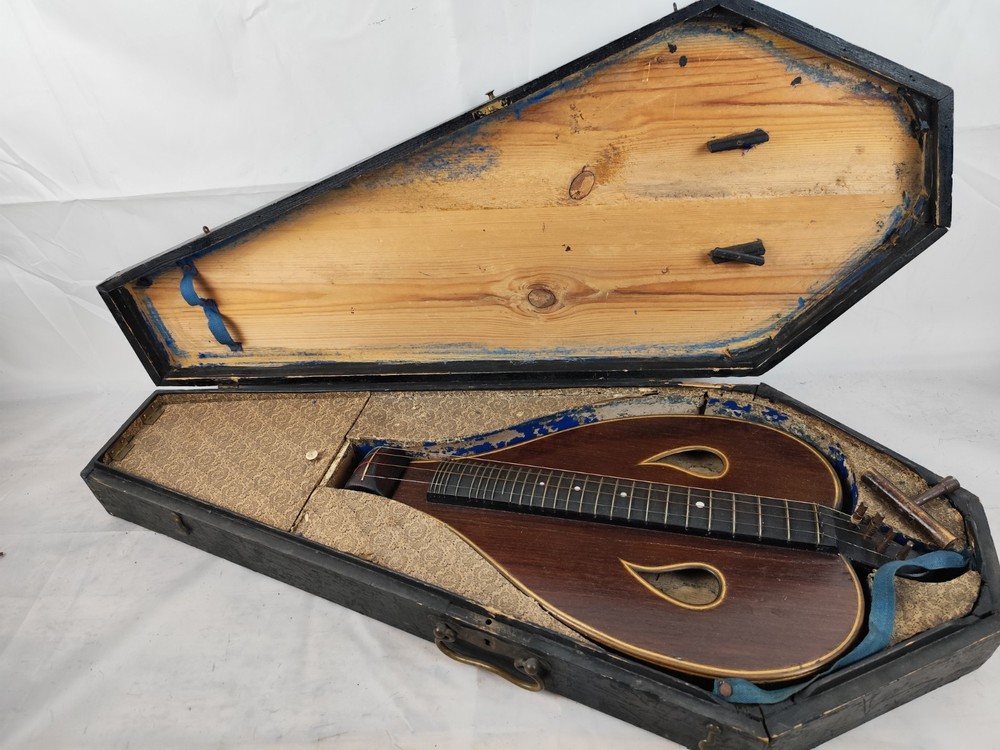 1900 Leaf Body 4 String Arch Psalter