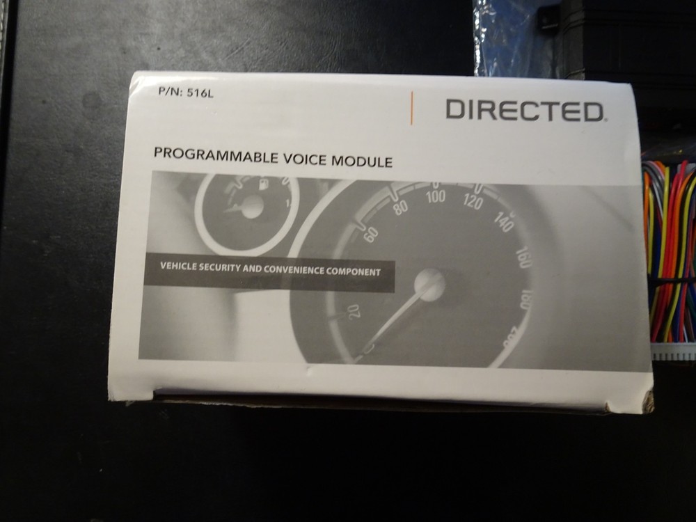Directed 516L Programmable Voice Module with 518LN Speaker Kit