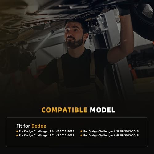 Power Window Master Switch Control Lifter Bottons for Dodge Challenger (Double