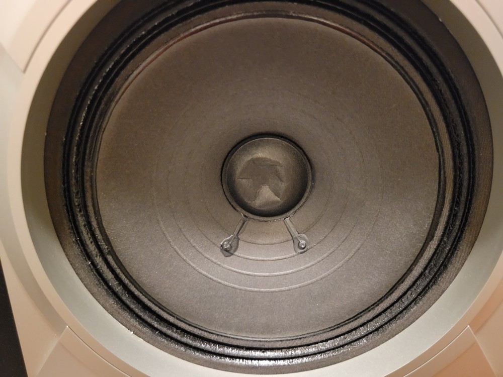 Pioneer Speakers CS-C9900