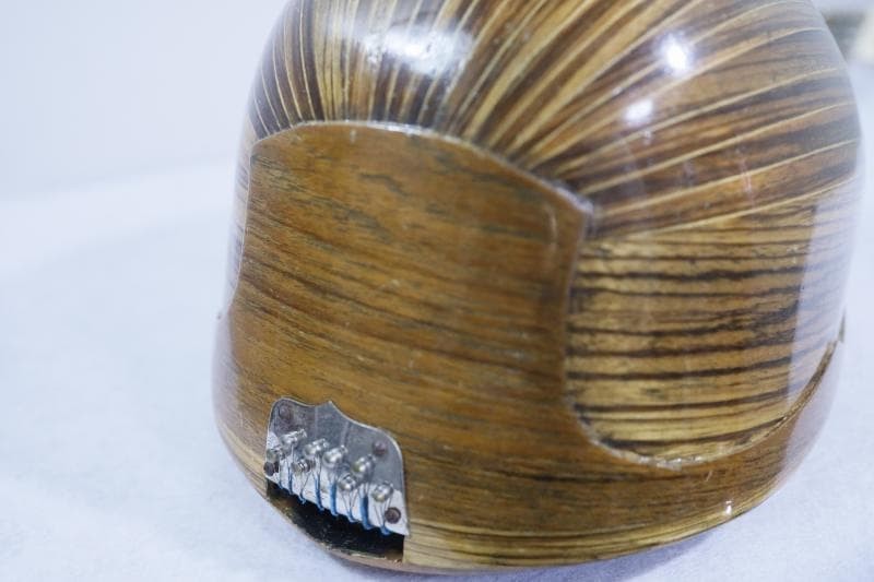 ◆Kunishima Mandolin No.106 ◆With hard case