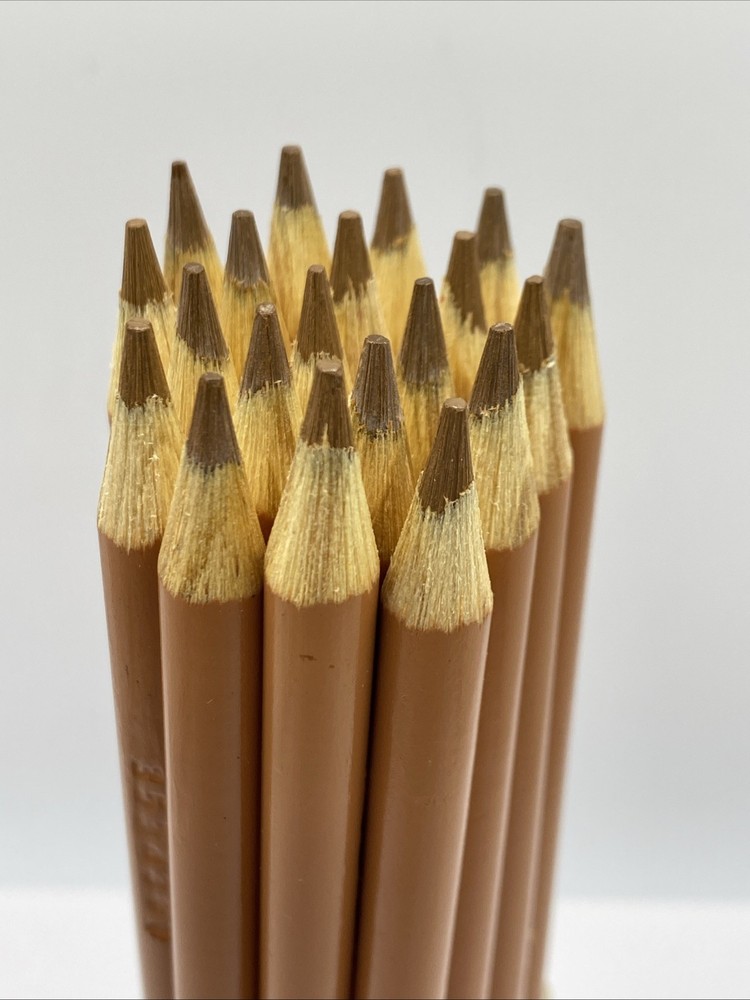(20) Crayola Colored Pencils  (tan) BULK