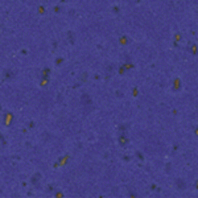 Profile Design Adhesive Cork Bar Wrap Blue