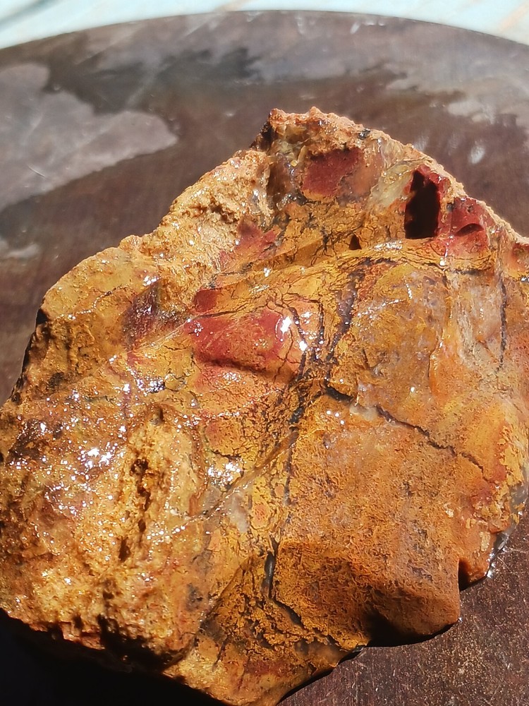 Jasper Agate With Silicized Veinlets Throughout Specimen Red Yellow Jasper