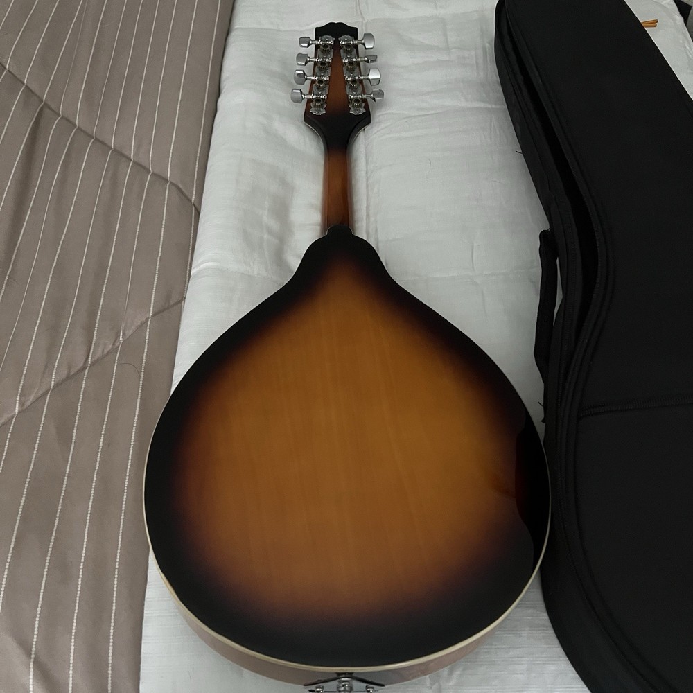 Sunburst Donner Mandolin 8 String Beginner Set with Soft Case & Pick Great Cond