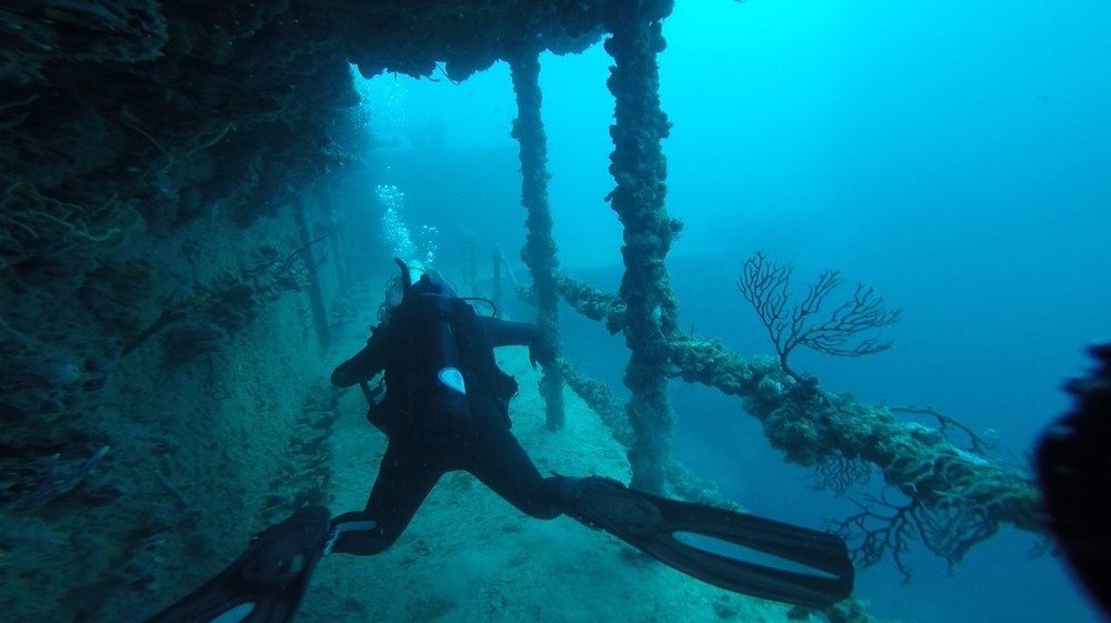 Dive Mount - Strap Action Mount