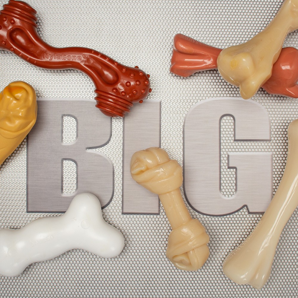 Nylabone Dura Chew Monster Bone