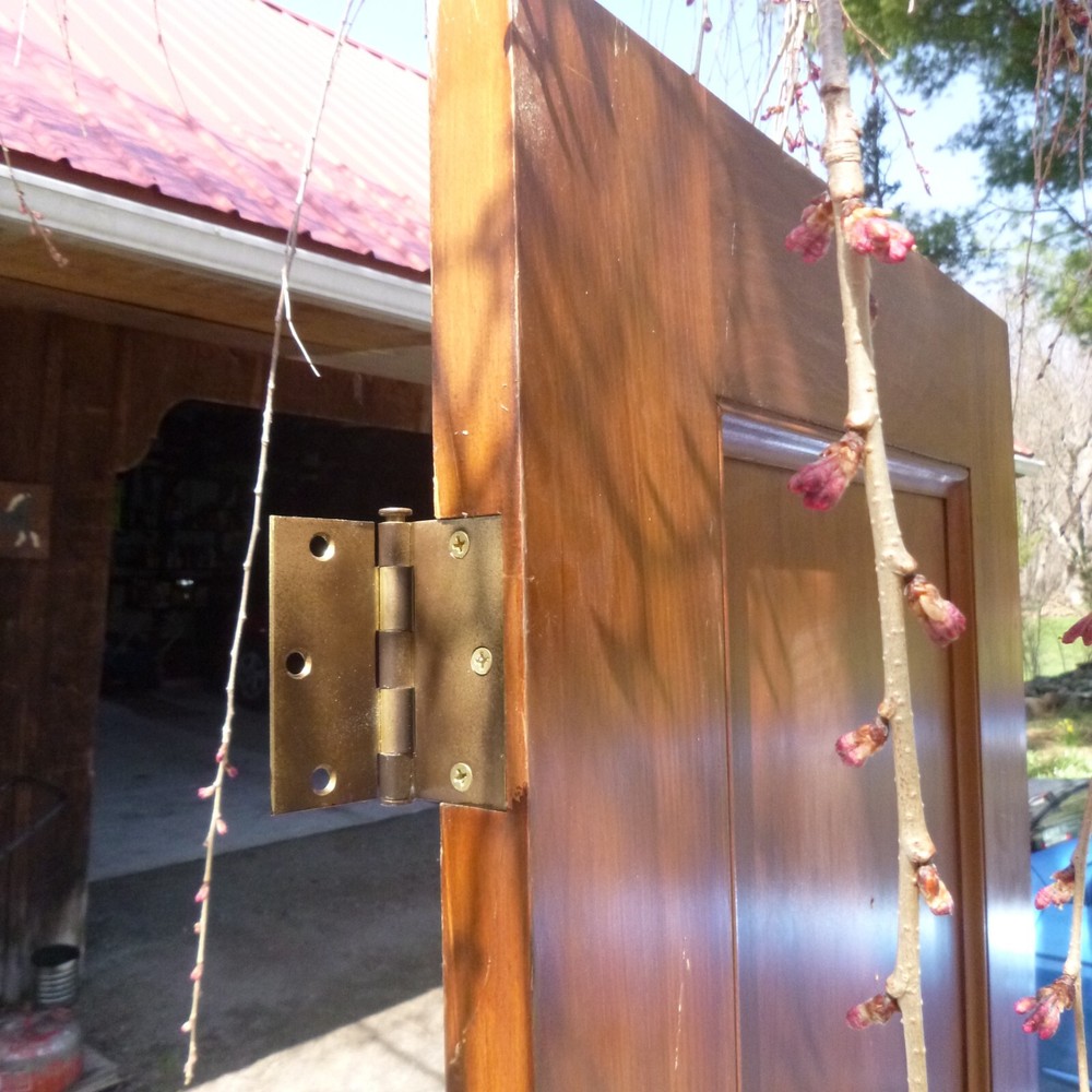 Antique gumwood door