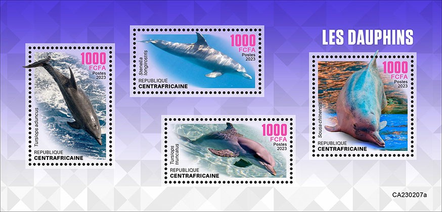 Dolphins