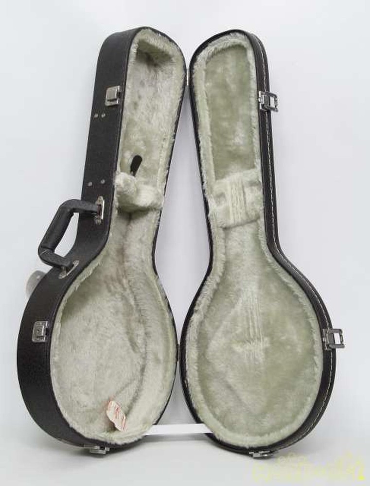 ARIA AM200E/BS Mandolin-01