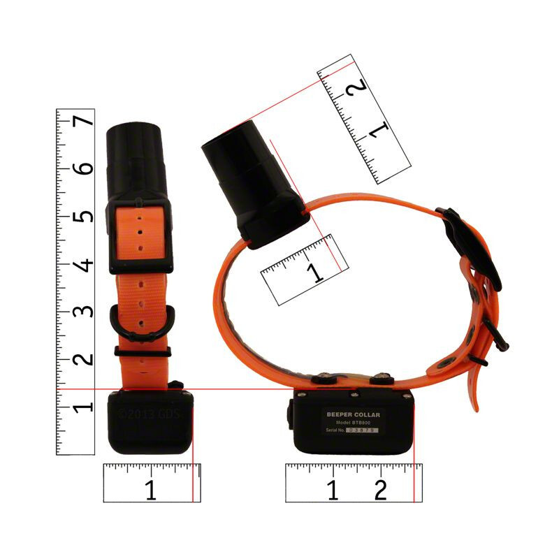 DT Systems Baritone Beeper Collar Double Beep BTB-800-DBL