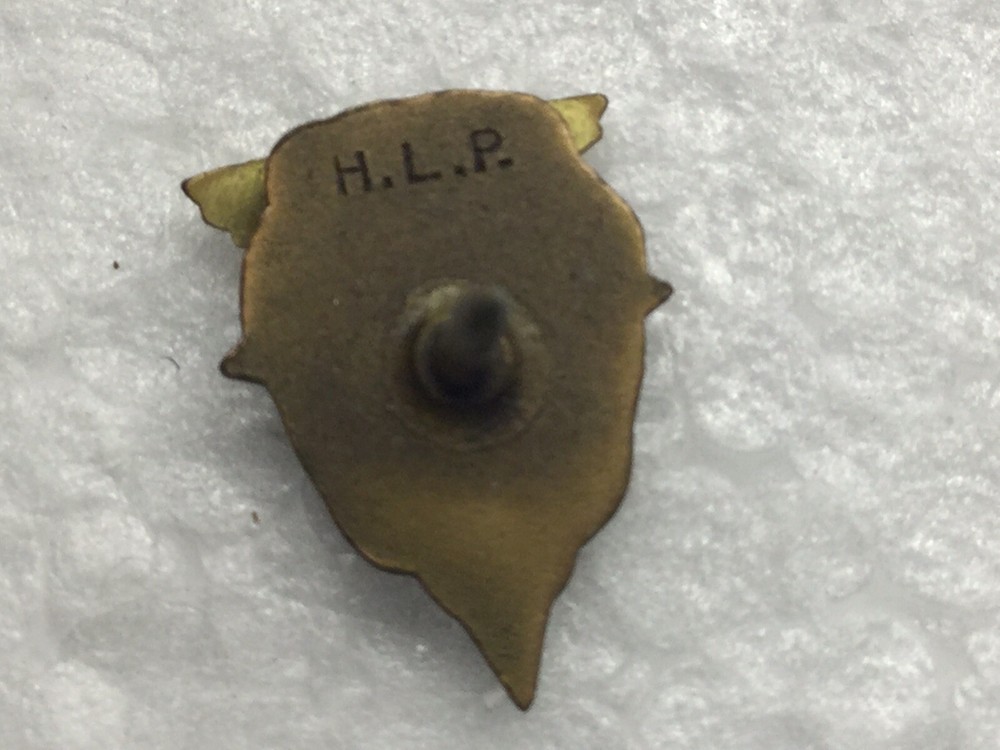 Vintage Eagle Over Shield Flag Lapel Pin