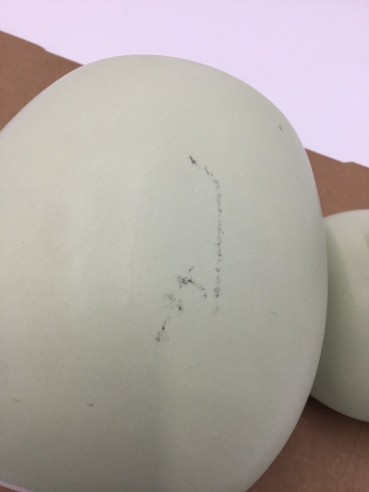 Haven Easter Bunny Cookie Jar Sage -(Defect)