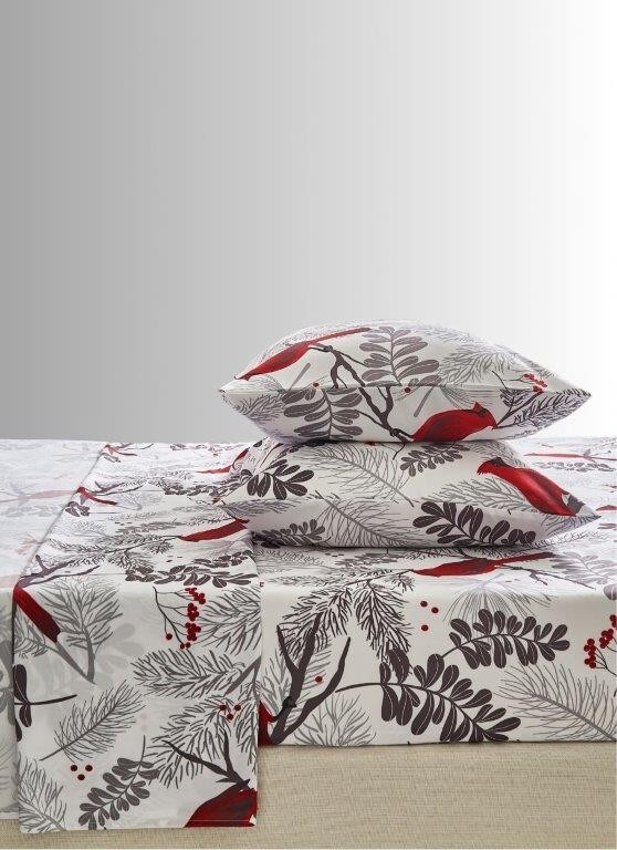 Ultra Soft Cardinals - 4-Piece Bed Sheet Set
