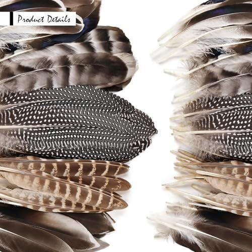 40pcs Natural Pheasant Feathers Bulk Spotted Feathers 5 Styles Mixed Feathers