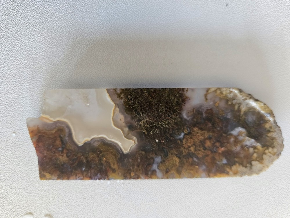 Agate Lapidary Slab With Moss