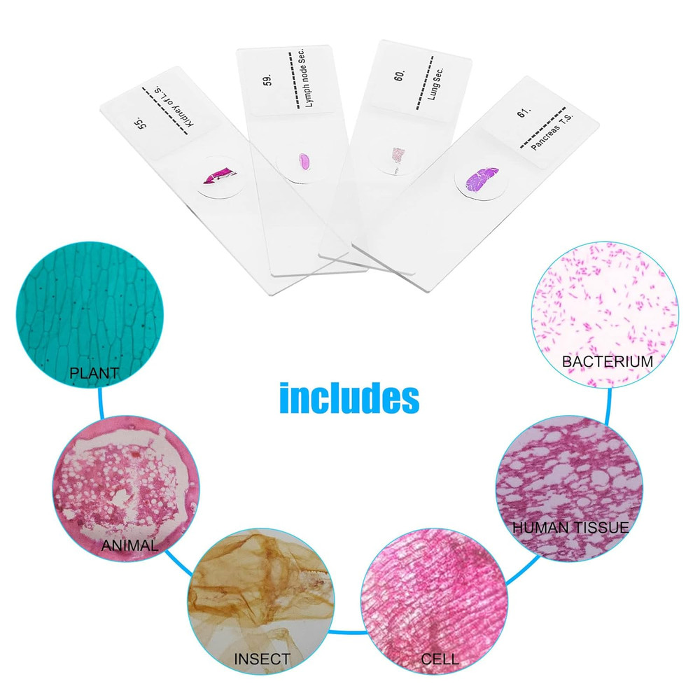 Microscope Slides, 100 Pcs Prepared Microscope Slides with Specimens for Kids Ho