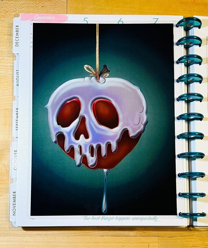 "Pick your Poison" Apple Two Sided Dashboard 4 use w BIG Happy Planner-