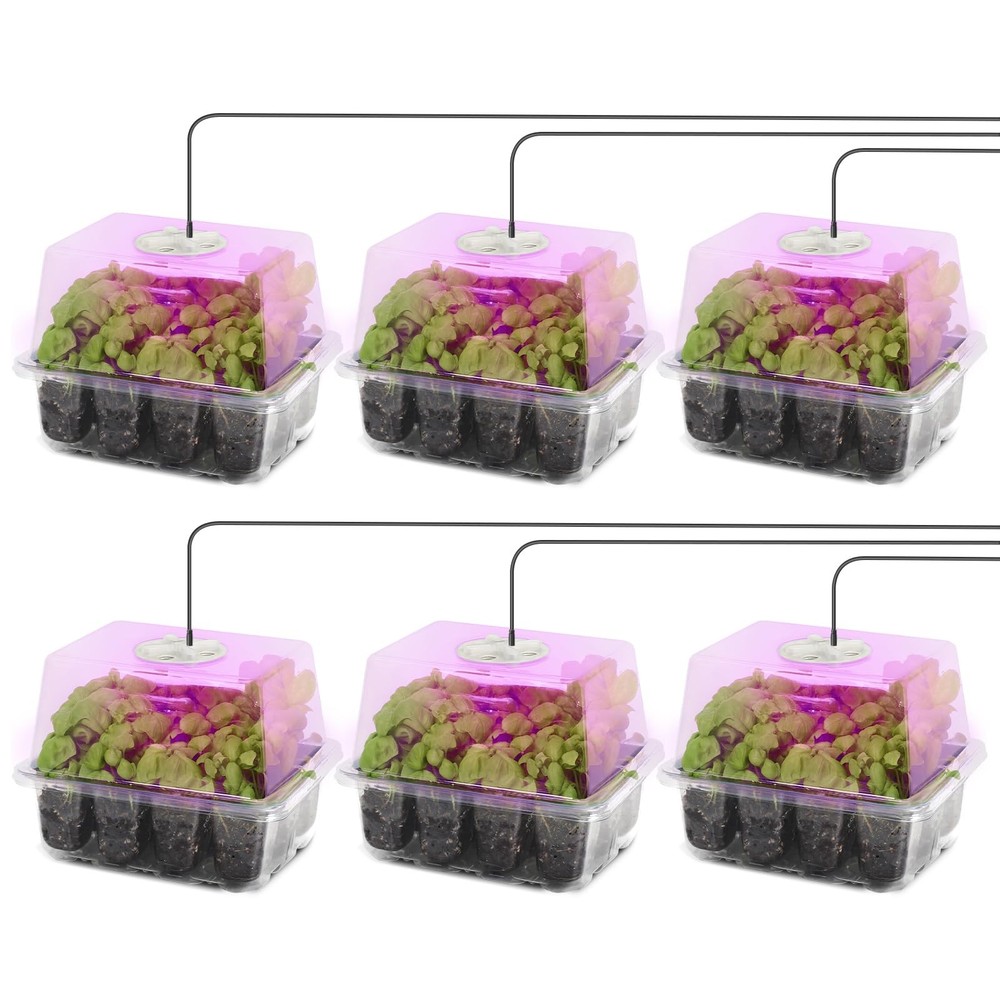 Seed Starter Kit with Grow Light, Elevated Seedling Tray Kit with Adjustable ...