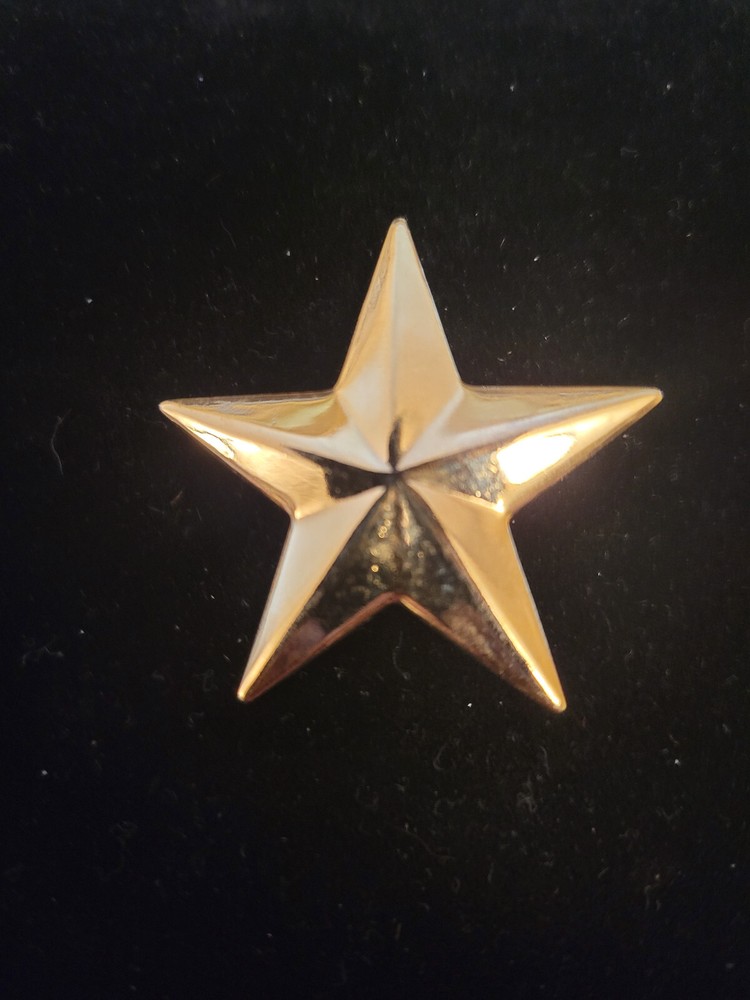 Gold Star Brooch
