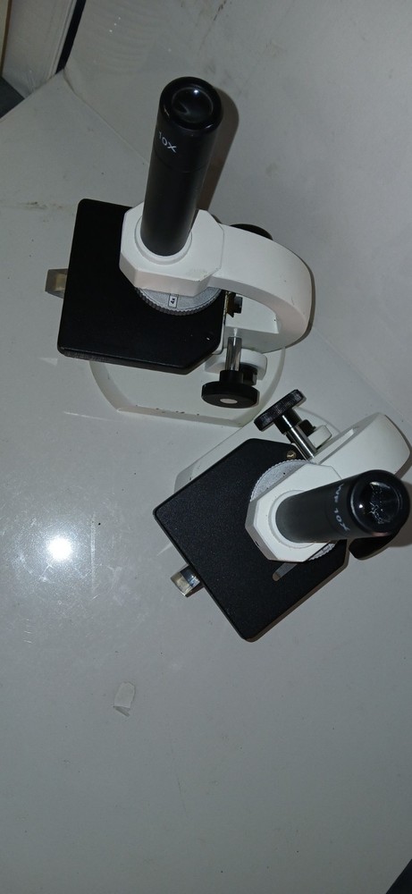Student / Kids WF10x Basic Microscope