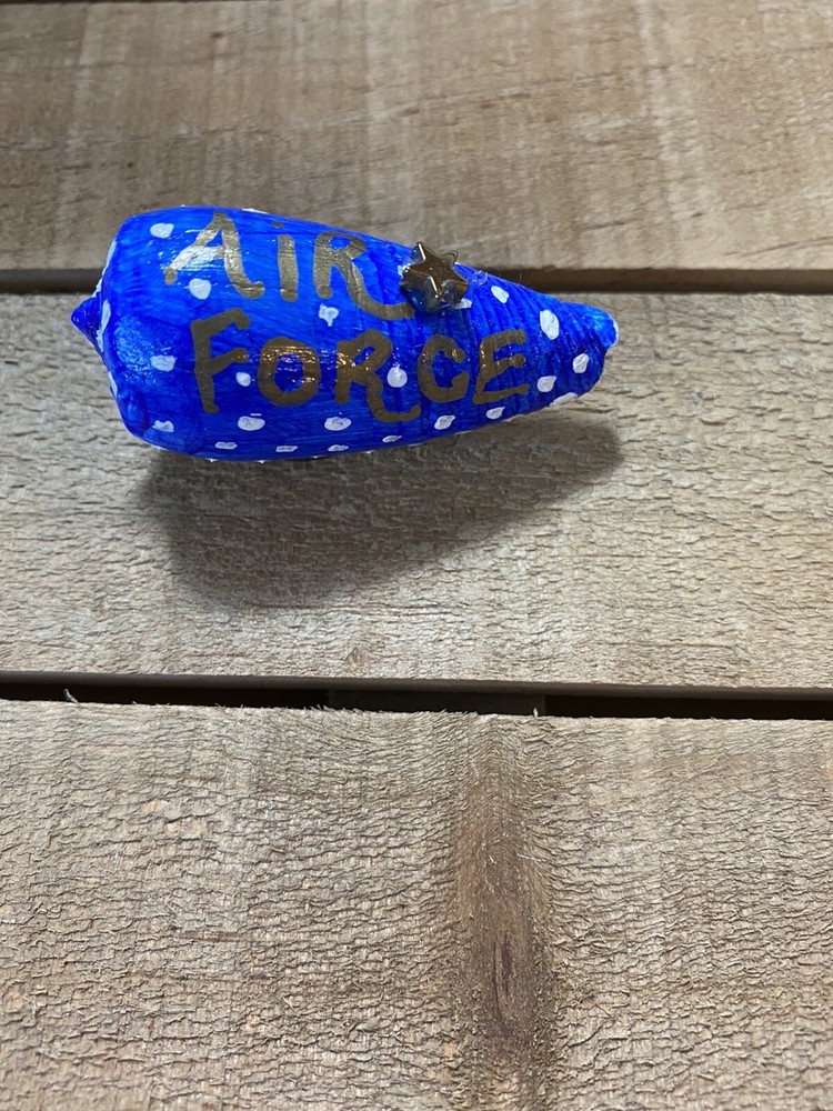 Blue Air Force Hand-Painted Seashell Magnet