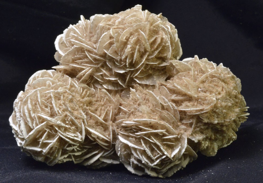 #2225 Large Selenite Rose - Mexico