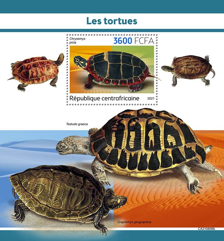 Turtles