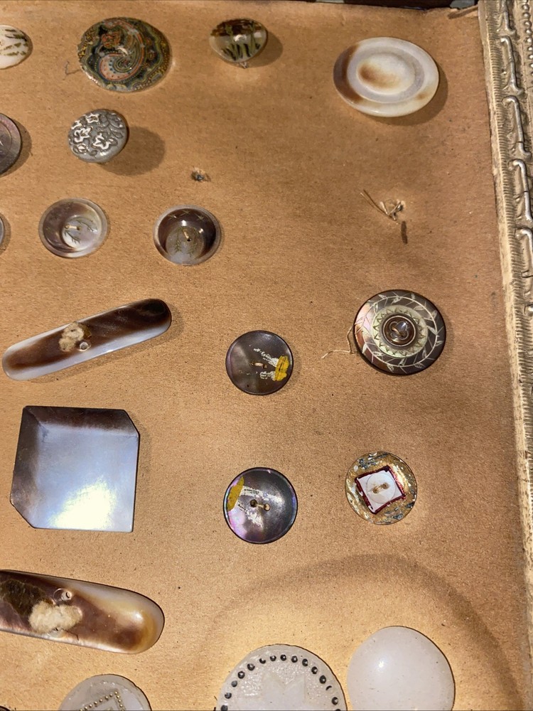 Antique Button Display Lot Victorian
