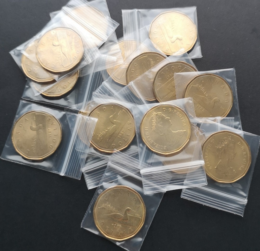 *** CANADA  LOONIE  1987  ***  FROM  MINT  ROLL *** LIGHTLY  TONED ***