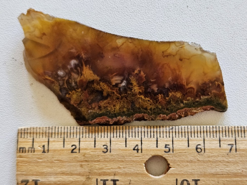 Beautiful Plume Agate Lapidary Slab 16 Grams
