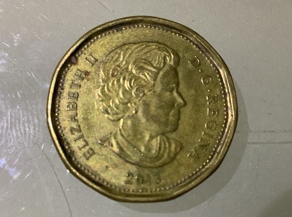 Canada 1 Dollar 2013 Circulated