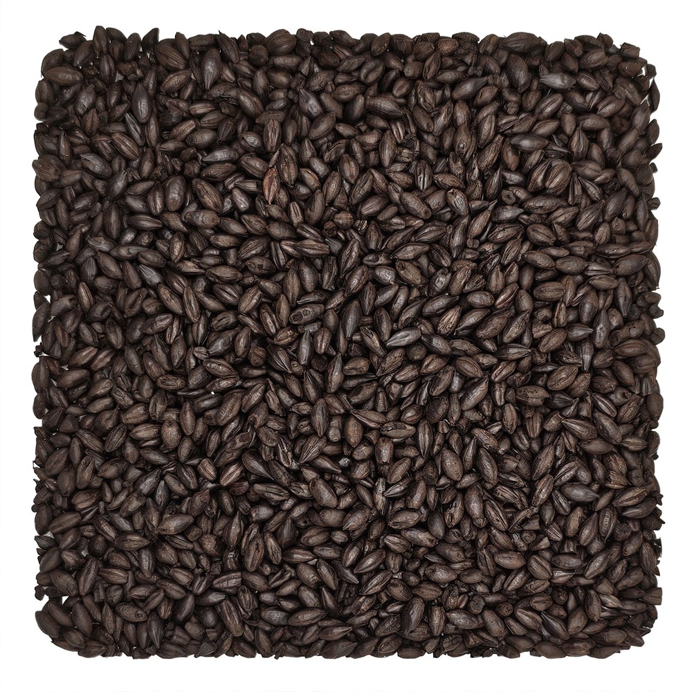 Home Brew Ohio Coffee Malt Grain 1lb