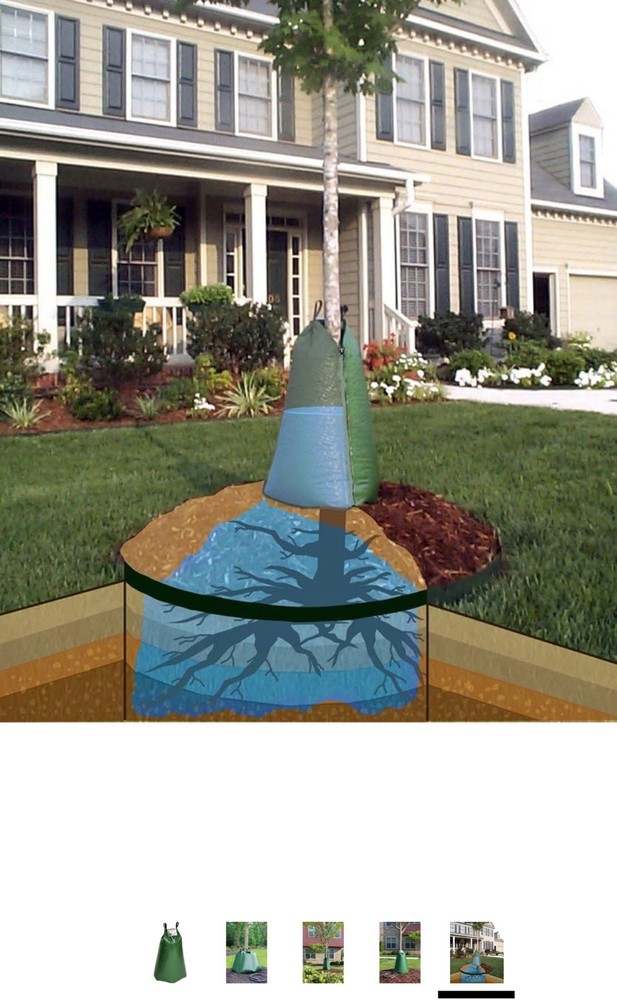 Original Treegator Jr. Pro Slow Release Watering System For Trees Shrubs