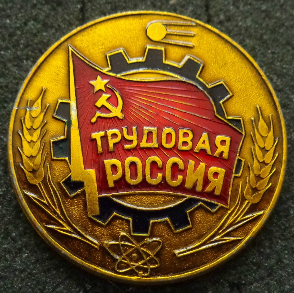 BIG SOVIET PIN BADGE USSR / CCCP/