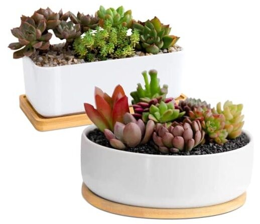 White Ceramic Succulent Plant Pots, 1 Rectangular Flower Pot Rectangular+round