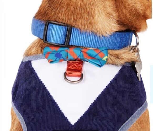 NWT Youly Bow Tie Pet Harness Navy Wht Orange, Medium