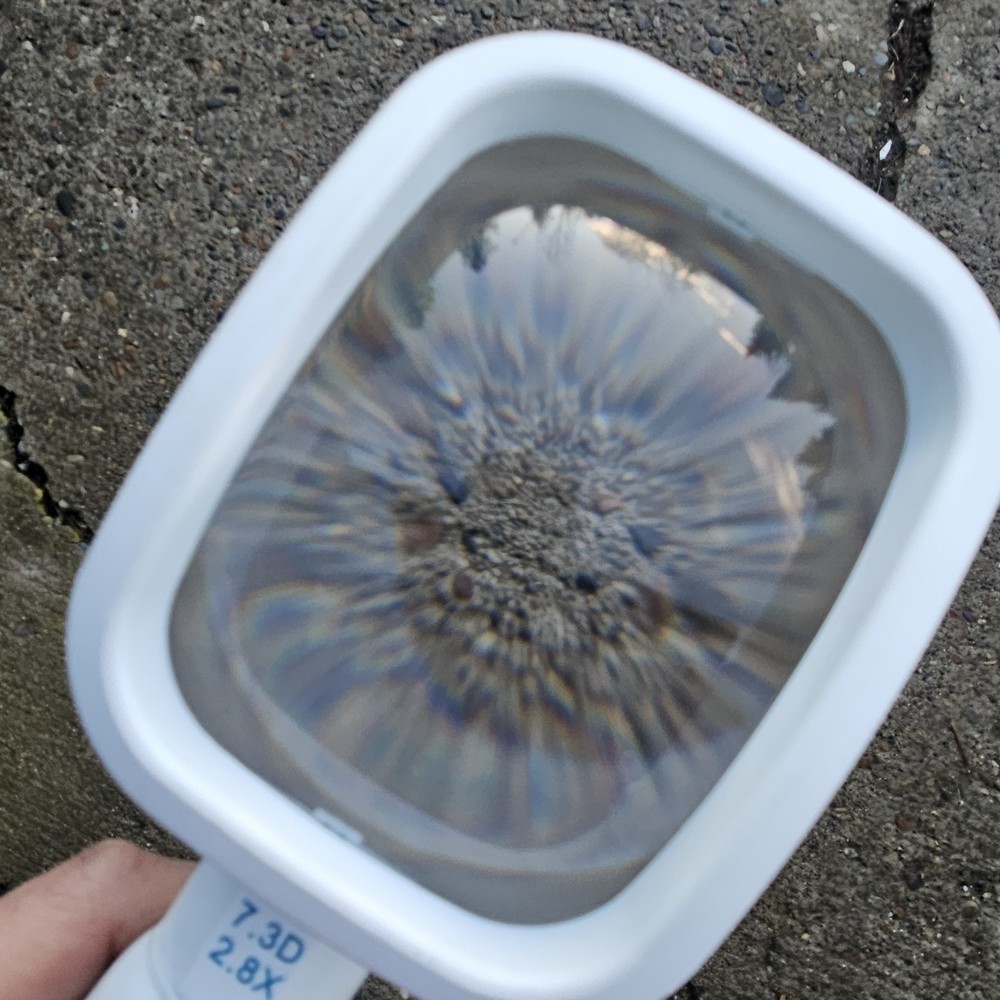 Coil Lighted LED Handheld 2.8X 7.3D Magnifying Glass Tested For Reading Etc