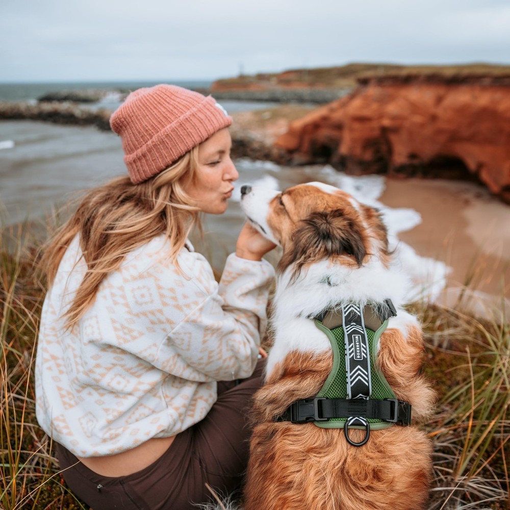 Lightweight Dog Harness with Reflective Straps - Large - Olive