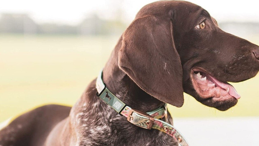 DISONTAG QR Code Dog Tags Personalized for Pets German Short-haired Pointer NEW