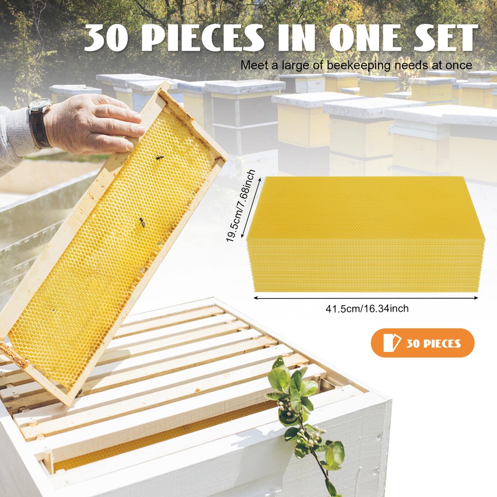 30 Honeycomb Wax Frames for Beekeeping Hive Foundation Tool - 30 Packs