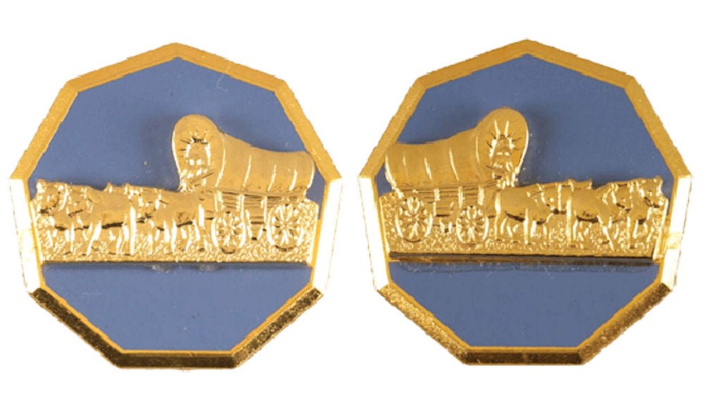 35th Infantry Division Distinctive Unit Insignia - Pair