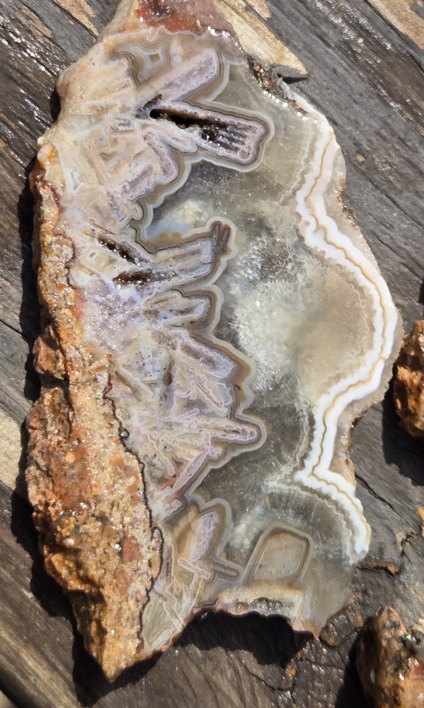 Turkish Agate Slabs Slices From One Stone Matching Lapidary Unique