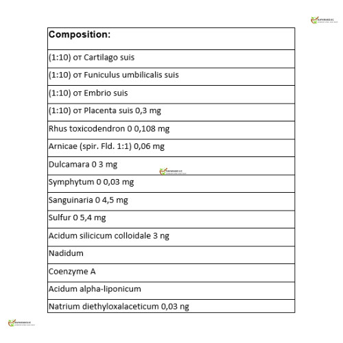 Zeel T Heel Homeopathic Solution 50 tablets 10 PACK